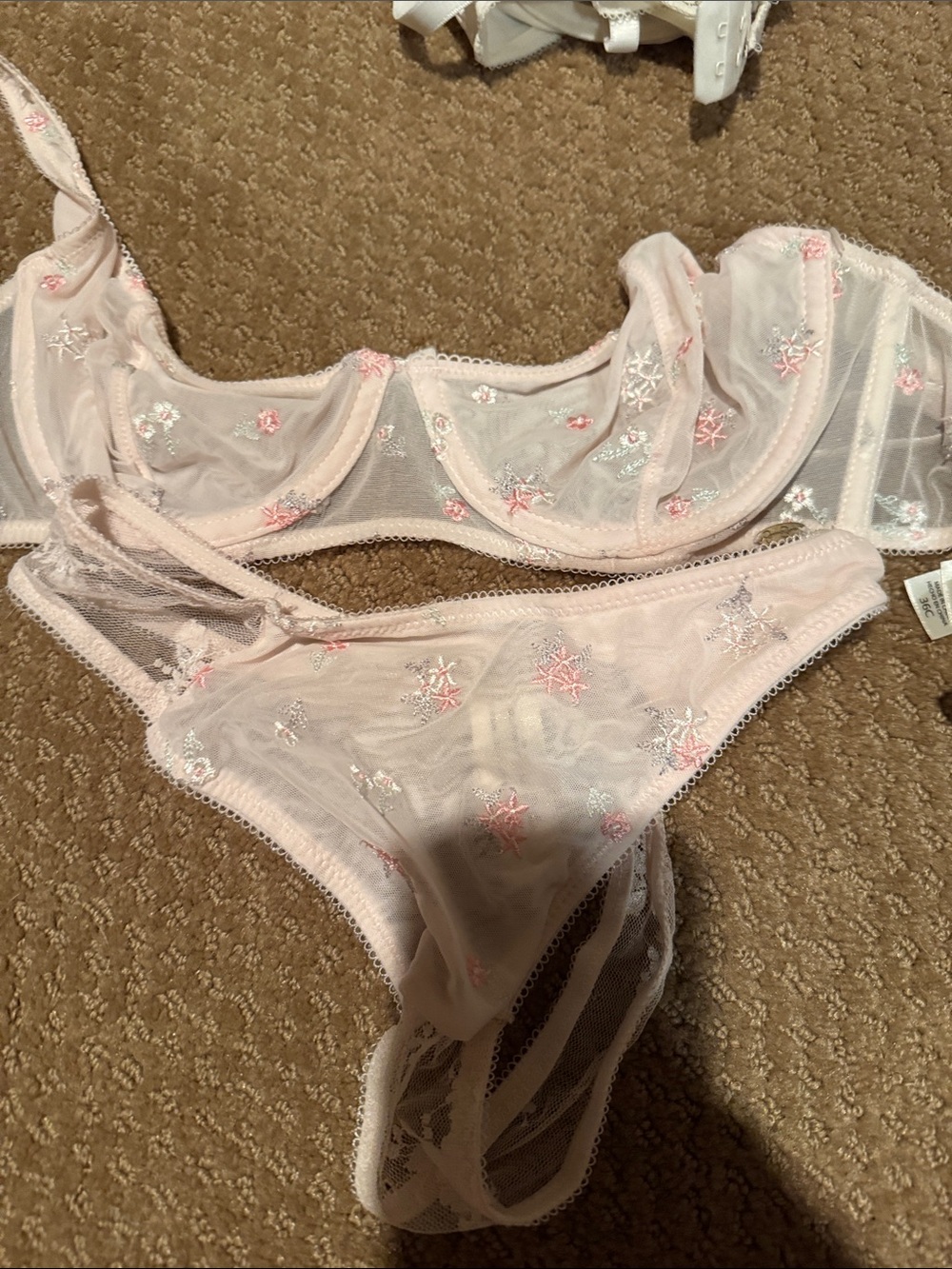 Jessica Simpson Sheer Embroidered Star Lace Bra & Bikini - Pale Pink